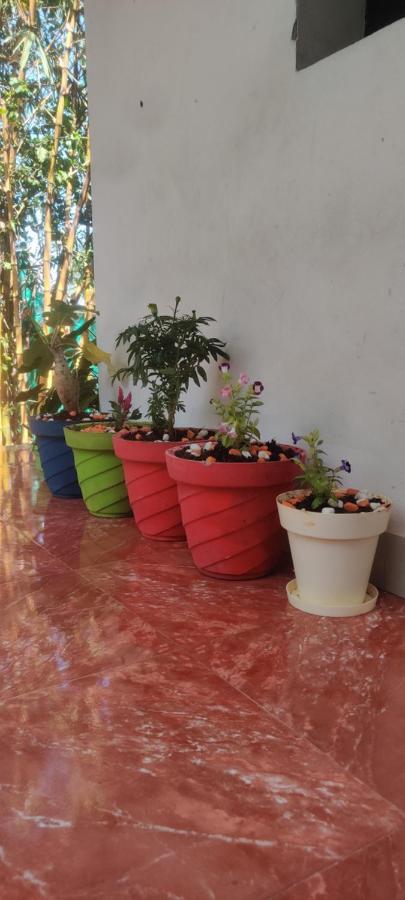 Mahabs Homestay Villa Mahábalípuram Exteriér fotografie
